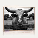 Black White Texas Longhorn Bull Canvas Wall Art, Western Ranch Cattle Photography Print, Rustic Farmhouse Cowboy Decor Artwork