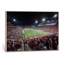 Washington-Grizzly Stadium Canvas Print, American Football