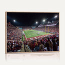 Washington-Grizzly Stadium Canvas Print, American Football