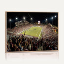 Washington-Grizzly Stadium Canvas Wall Art – Exciting Game
