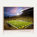 University of Oregon Ducks Football Team Print - Eugene