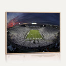 Penn State University Nittany Lions Football Team Print -