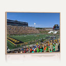 University of Missouri Tigers Football Team Print - Columbia