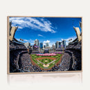 San Diego Padres Baseball Team Print - Petco Park Stadium