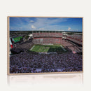 South Carolina Gamecocks Football Team Print - Columbia