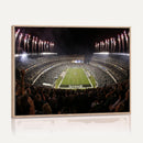 Eagles Field Stadium Wall Art - Philadelphia Eagles Football