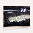Honda Center California Anaheim Ducks Hockey Stadium Wall