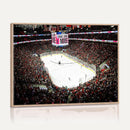 PNC Arena Raleigh North Carolina Hurricanes Hockey Stadium