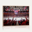 Carolina Hurricanes Ice Hockey Stadium Wall Art, Carolina