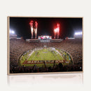 Framed Florida State Seminoles Football Team Print -