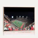 Houston Cougars Football Team Print - Houston TDECU Stadium