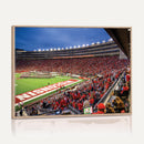 Wisconsin Badgers Football Team Print - Madison Camp Randall