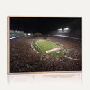 Wisconsin Badgers Football Team Print - Madison Camp Randall