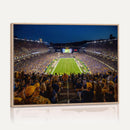 Pittsburgh Panthers Football Team Print - Pittsburgh
