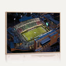 University of North Texas Mean Green Football Artwork,
