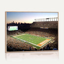 Darrell K Royal-Texas Memorial Stadium Canvas Wall Art -