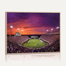 East Carolina University Pirates Football Print Canvas-