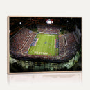 Florida Atlantic University Owls Football Team Print - Boca