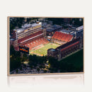 University of Illinois Fighting Illini Football Team Print -