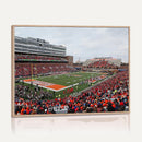 University of Illinois Fighting Illini Football Team Print -