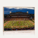 University of Illinois Fighting Illini Football Team Print -