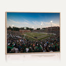 University of Charlotte 49ers Football Team Print -