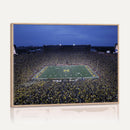 University of Michigan Wolverines Football Team Print - Ann
