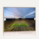 University of Michigan Wolverines Football Team Print - Ann