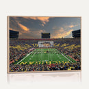 University of Michigan Wolverines Print Canvas, Football