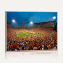 Clemson University Tigers Football Team Print - Clemson