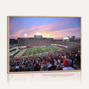 Indiana University Hoosiers Football Team Print -