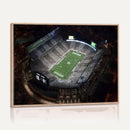 Michigan State Spartans Football Team Print - East Lansing