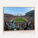 Michigan State Spartans Football Team Art Print - East