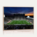 Michigan State Spartans Football Team Print - East Lansing