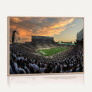 Michigan State Spartans Football Team Print - East Lansing