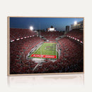 Ohio State University Buckeyes Football Team Print -