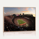 Ohio State University Buckeyes Football Team Print -