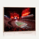 Ohio State University Buckeyes Football Team Print -