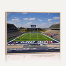 Rice University Owls Football Team Print - Houston Rice