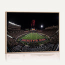 Framed Texas Tech Red Raiders Stadium Canvas, Texas Tech Red
