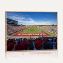 Ball State Cardinals Football Team Print - Muncie Scheumann