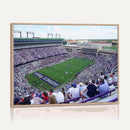 The Texas Christian University TCU Horned Frogs Football