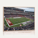 The Temple University Owls Athletics Team Print -