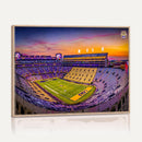 The Louisiana State University Tigers Football Team Print -