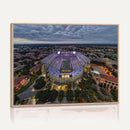 The Louisiana State University Tigers Football Team Print -