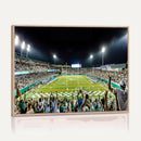 The Tulane University Green Wave Football Team Print - New