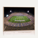 The University of Connecticut UCONN Huskies Football Team