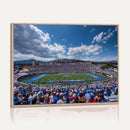 Air Force Falcons Football Team Print - Colorado Springs