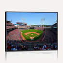 Cincinnati Reds Baseball Canvas Print - American Ball