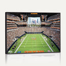 Chicago Bears Soldiers Field Wall Art Canvas Print – Framed